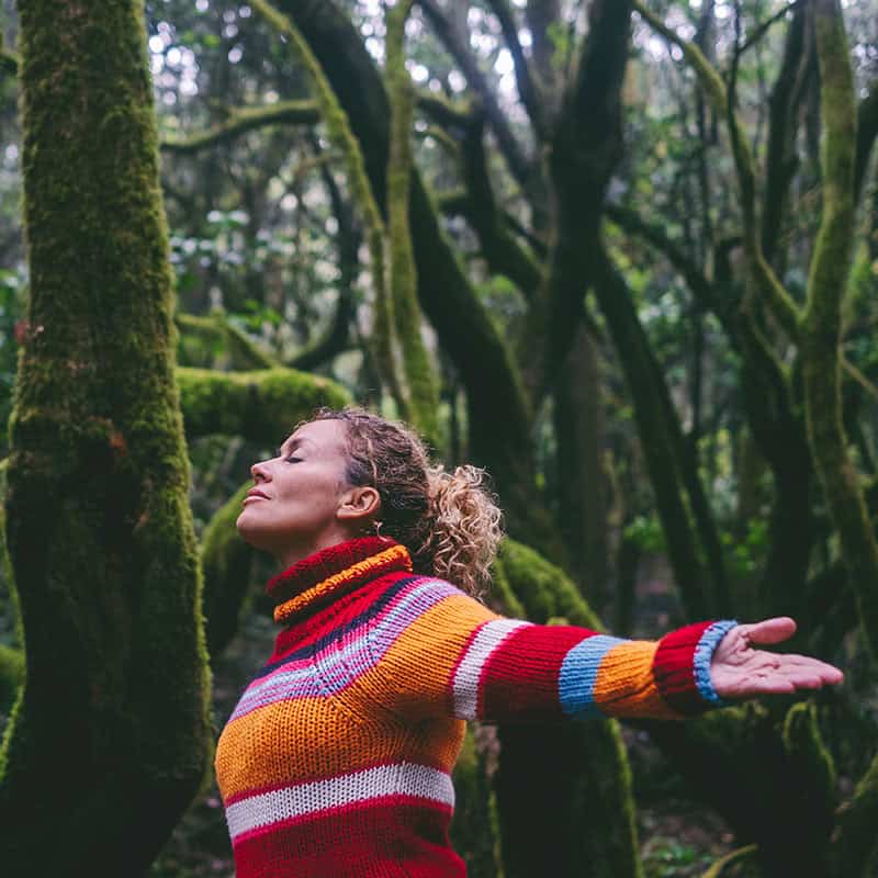 Bernadette Wirth: Die Wirkung des Waldbadens auf die Gesundheit
